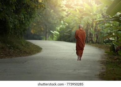 Cultivating Melinda: Rebuilding My Life in 2026 After Narcissistic&nbsp;Abuse